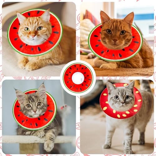 Cat Cone Collar Soft (Watermelon / Large)