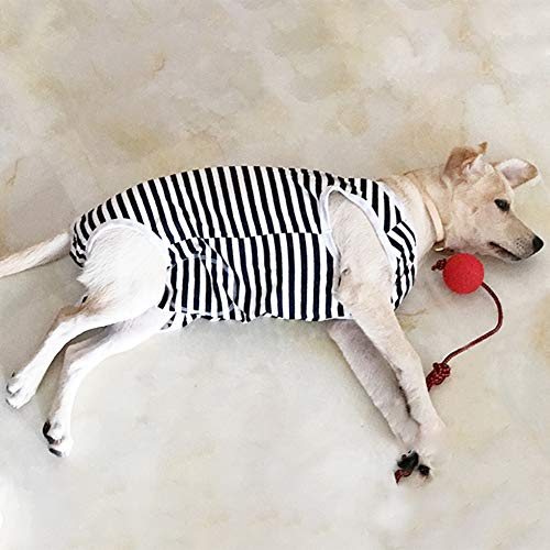 Dog’s Recovery Suit Post Surgery Shirt for Female Male Dog (3xl / navy white stripe)