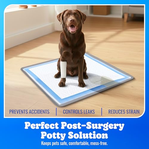 Dog Pee Pad Holder (Dark Grey / 1 Pack)