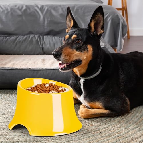 Non Slip Elevated Dog Bowl (L/3 Cup / Yellow)