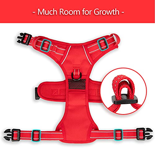 No Pull Dog Harness (XS / Red(Matching Trim))