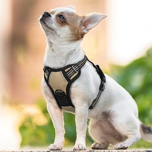 Dog Harness No Pull with 2 Leash Clips (X-Small / Beige)