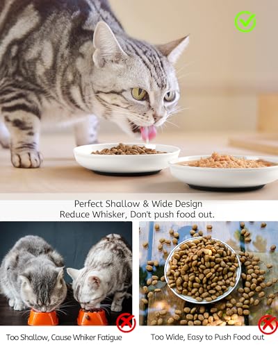 No Spill Cat Bowls (Deeper-6 Pack)