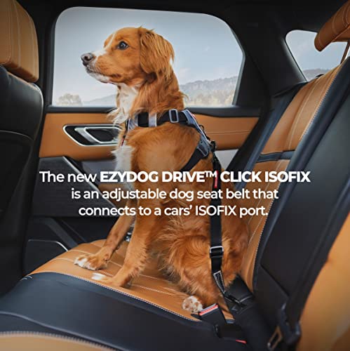 Click ISOFIX Cargo (Black / ISOFIX Cargo - 24in - 40in)