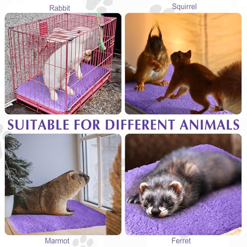 4 Pack Self Warming Cat Mat for Pets (16 x 20 Inch / Purple)