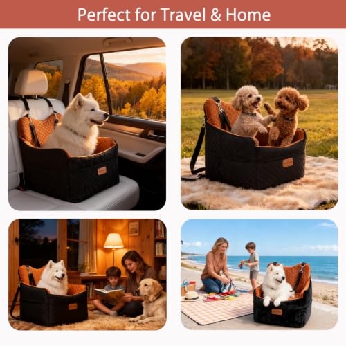 Dog Car Seat for Small Dogs Up to 30 lbs (Black/Orange / M)