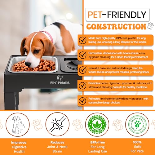 Elevated Dog Bowls (No-Spill Water Bowl & Stainless Steel Bowl Black)
