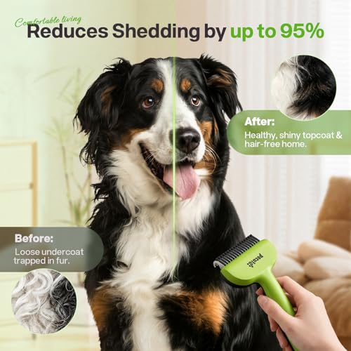 Self Cleaning Undercoat Rake for Dogs Cats with Long (Green)