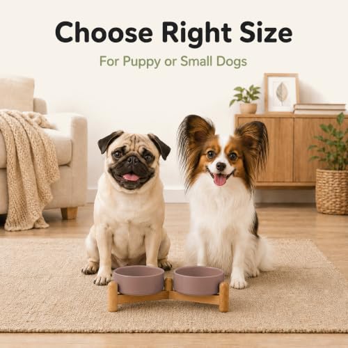 Ceramic Dog Bowls Elevated (Brown Coffee)