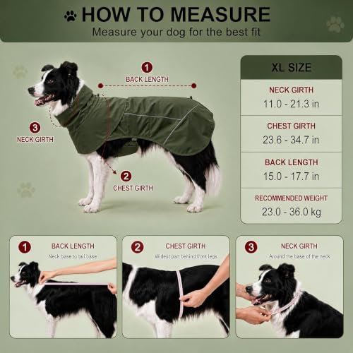 Dog Raincoat Full Body Coverage Waterproof Windproof Hooded Jacket (Green / X-Large)