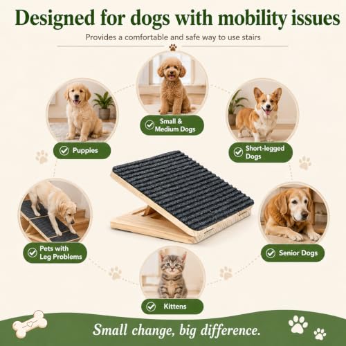 Dog Ramp for Stairs