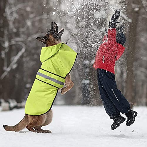 Waterproof Dog Rain Coat (Neon Green / Medium)