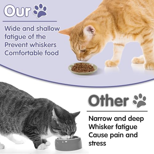 6 Pack Cat Food Bowl (CaiSe-B)