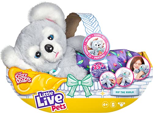 Cozy Dozy Kip The Koala Bear (Kip The Koala)