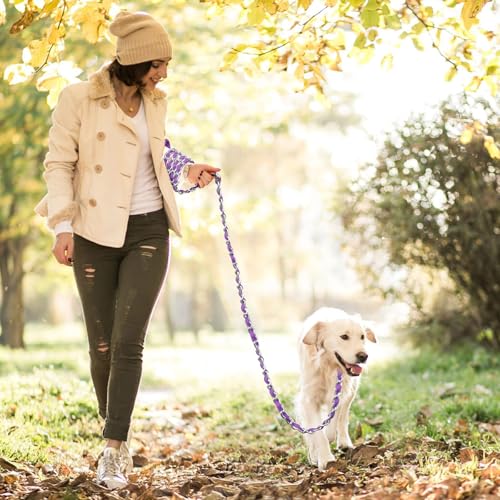 Metal Chain Dog Leash Chew Proof for Dogs (Purple / 4FT 3.0mm (Medium dogs))