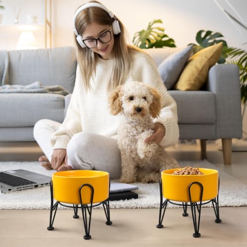 Elevated Dog Bowls (Yellow / 3.6 Cups | 2 Pack | For Medium Dogs)