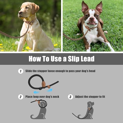 Heavy Duty Slip Lead No Pull Leash w Leather (Brown / 6 Feet)