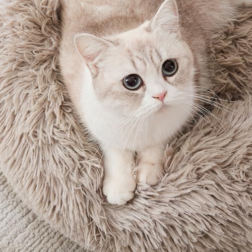Western Home Calming Donut Cat Bed Small Dog Bed Washable (Brown / 20.0"l x 20.0"w x 6.0"th)