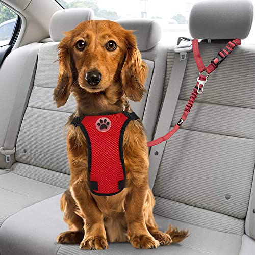 Dog Seat Belt for Car (C.Red)