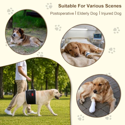 Leather Dog Lift Harness (L)