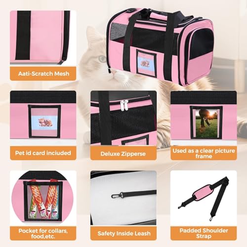 Large Soft Cat Carrier Up to 28 Lbs (Pink / 13.0"L x 13.0"W x 20.0"H)