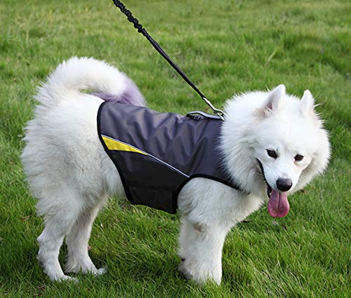 Dog Anxiety Jacket (Gery / Large)