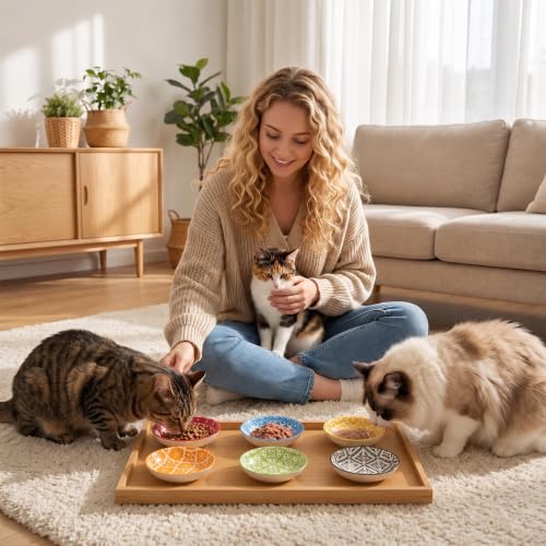 Ceramic Cat Dishes for Food (Colorful 1)