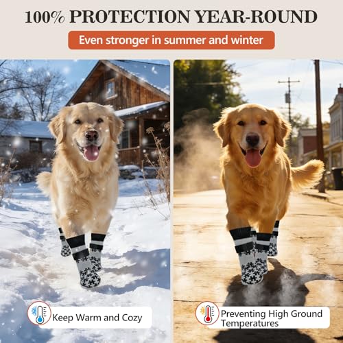 Dog Paw Socks (XS(Pack of 4))
