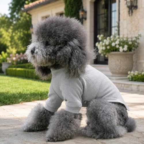 Ribbed Dog T Shirt Cotton Knitted Dog Sweaters for All Season Pet T (2XL (for Medium Large Dog) / Off white)