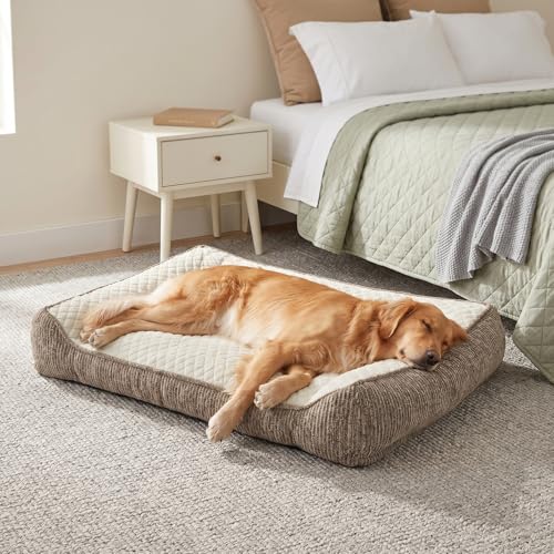 XL Orthopedic Dog Beds Large Sized Dog (L Plus(38"L x 28"W x 8"Th) / Beige)