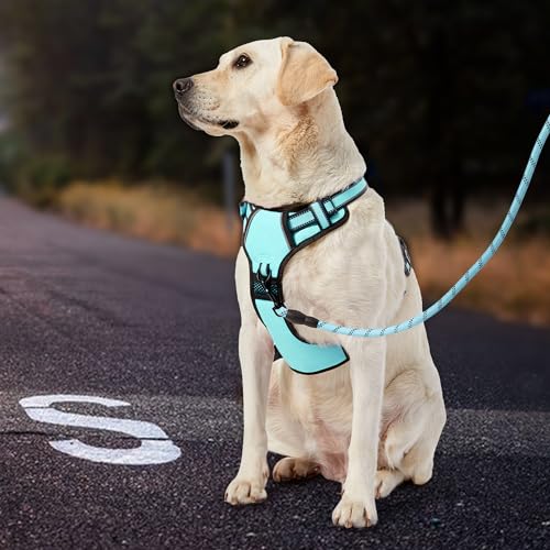 No Pull Dog Harness for Small Dogs (Turquoise / Small)