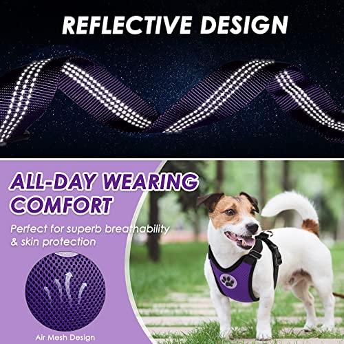 Dog Car Harness Seat Belt (X-Small / Purple)