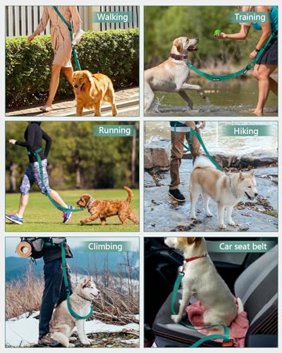 Hands Free Dog Leash (Green / Large-5.9-9.5ft)