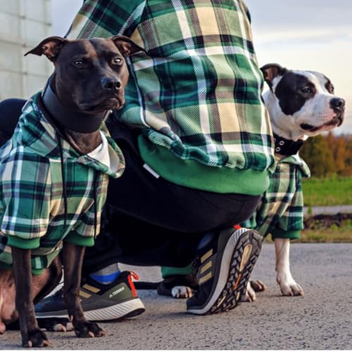 Dog Hoodie Buttery (Green Plaid / X-Large)