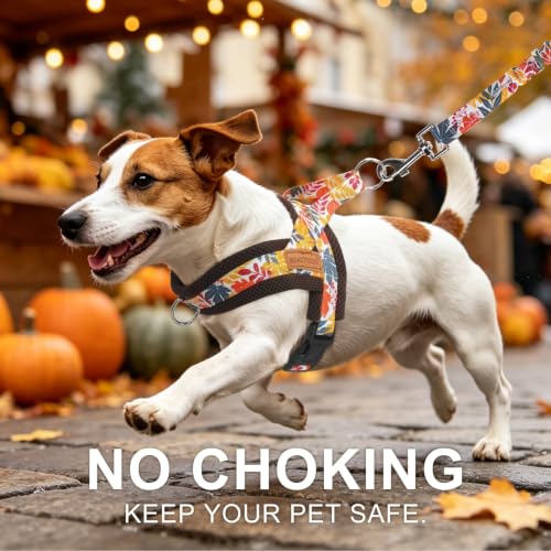Dog Harness Medium Sized and Leash Set (Fall Leaves / M: Chest 21"-26.7")