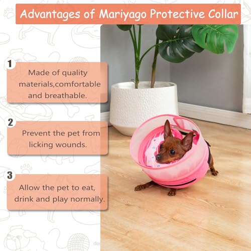 Inflatable Dog Cone Collar for Large Medium Small Dogs (Pink Donut / Small)