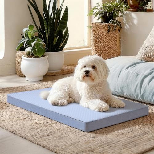 Cooling Dog Bed for Large Dogs (Blue / Large-35"x 22" x 3")