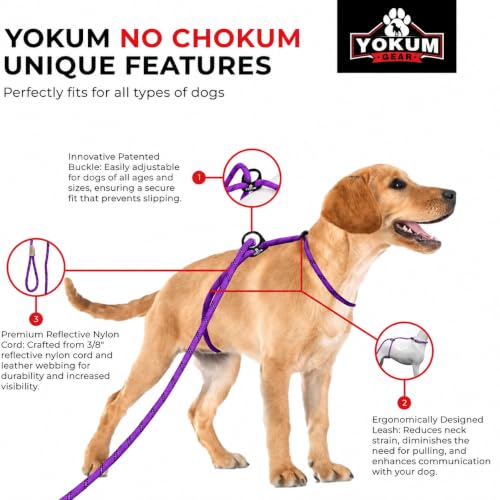 12ft No Pull No Choke Leash Long Rope Dog Leash (12 Ft / PURPLE)