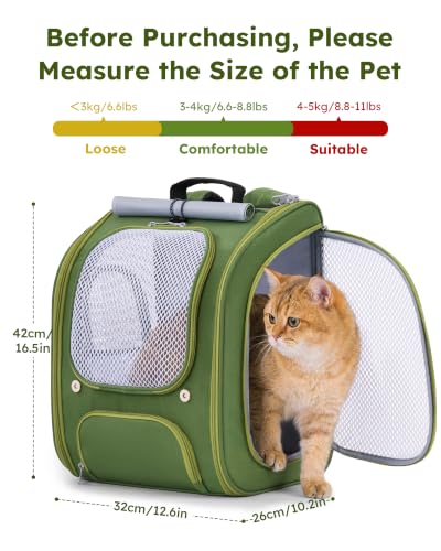 Cat Backpack Carrier (Green)