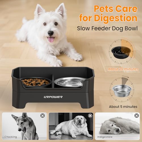 Mess Proof Elevated Dog Bowls Double Deck Slow Feeder (Jet Black / Large)