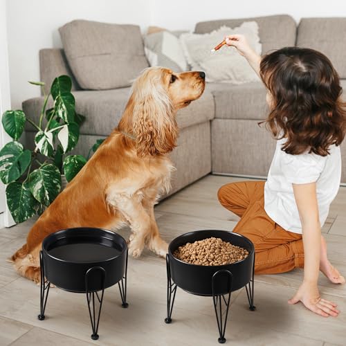 Elevated Dog Bowls (Black / 7.6 Cups | 2 Pack | For Large Dogs)