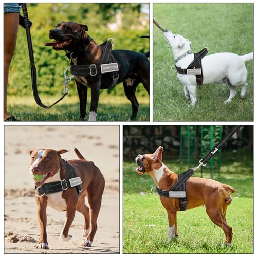 No Pull Dog Harness and Leash Set (Black / X-Large)