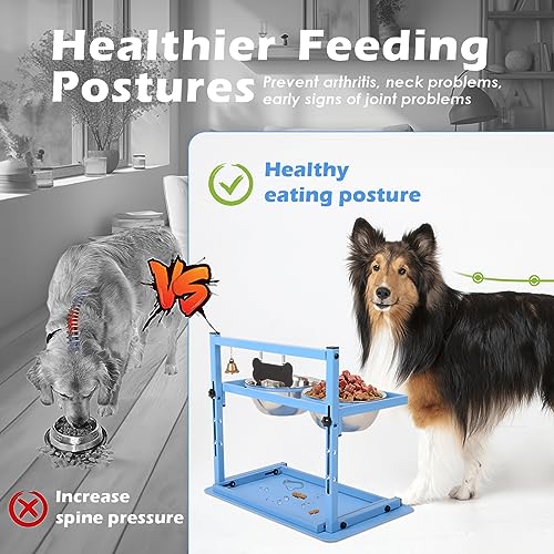 Blue Raised Dog Bowl Stand with Two 1700ml Stainless Steel Food Bowl (Blue - Slow Bowl & Mat / Large Dogs)