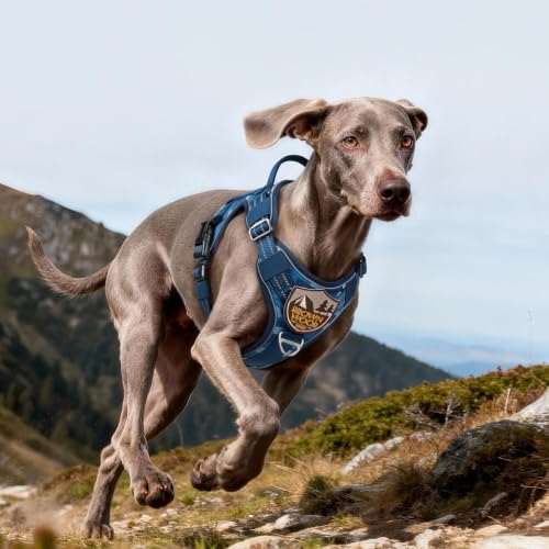 Tactical Dog Harness for Large Dogs (L(Chest:22"-37",Neck:21.1"-30.3",Back:8.3") / Blue Camo)