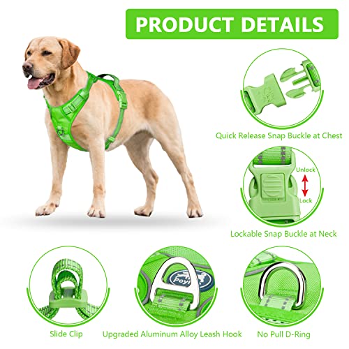 No Pull Dog Harness (S / Green(Matching Trim))