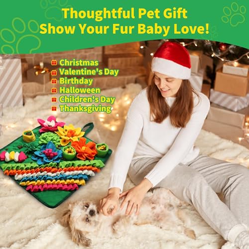 Snuffle Mat for Dogs