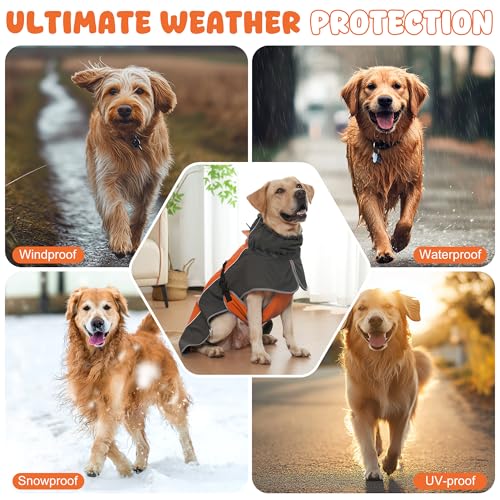 Dog Raincoat Waterproof Dog Coat with Polar Fleece Lining (Orange / Large)