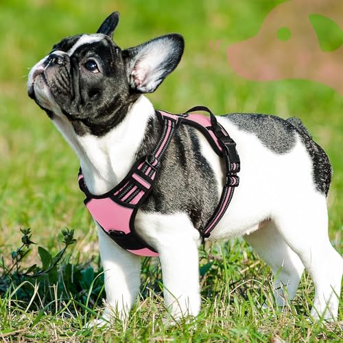 Dog Harness for Small Dogs (Small / Pink)
