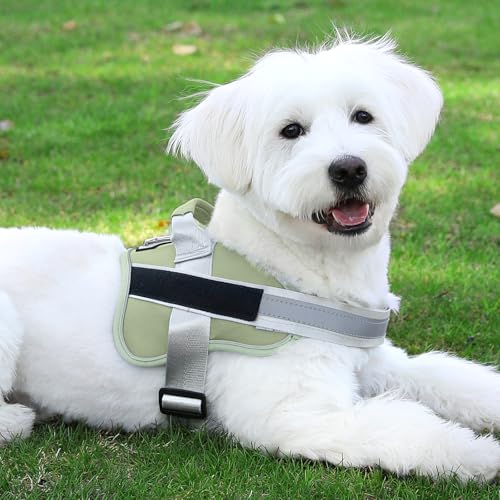 Dog Harness No (Medium (Pack of 1) / CreamGreen)