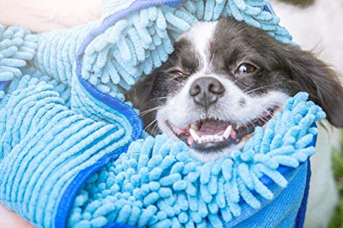 Quick Dry Towel for Dogs (Blue)